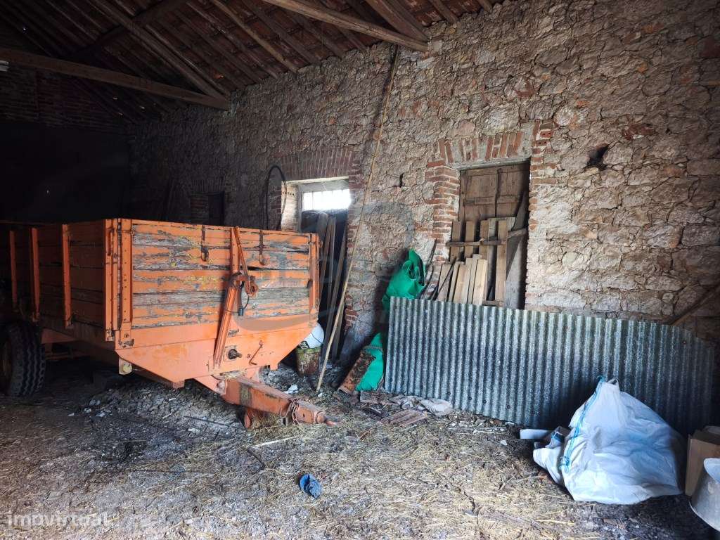 Imóvel a servir de barracão em aldeia junto a Torres Novas-6