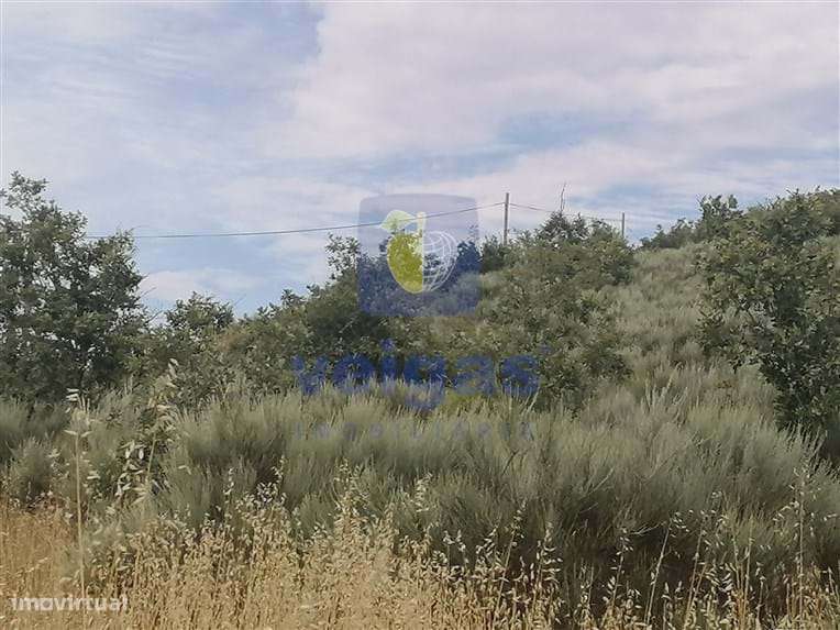 Terreno Almeida - Grande imagem: 5/15