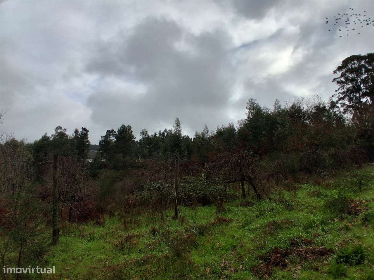 Terreno para Investimento Marco de Canaveses-13