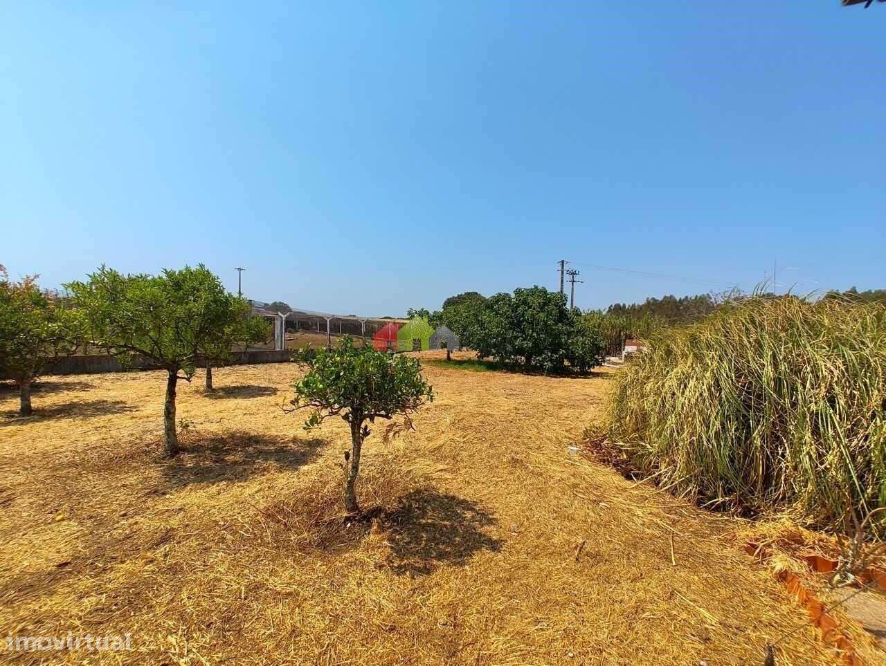 Quinta C/Moradia T2 - Foros de Vale de Figueira-5