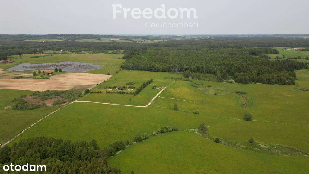 Działka przy lesie w pobliżu jezi, Blanki, 8000 m² - Pełny obrazek: 5/9