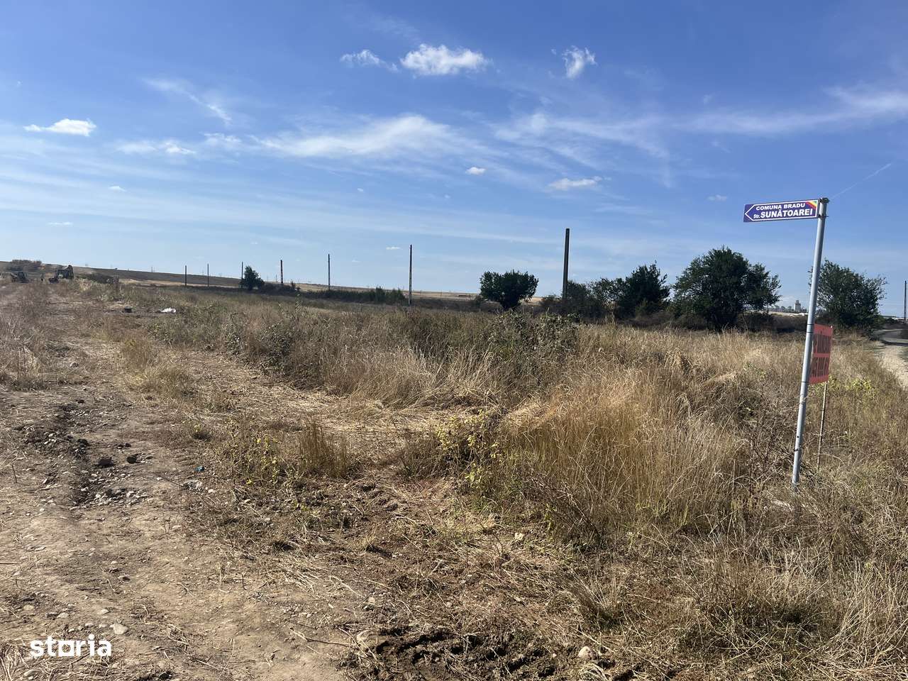 Teren Bradu 470 mp-3