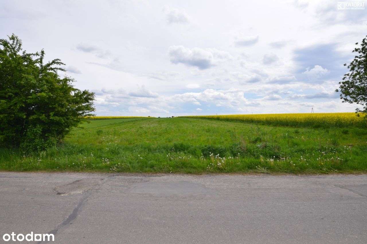 Nasutów/ działka budowlana/ 15 ar - Pełny obrazek: 4/5