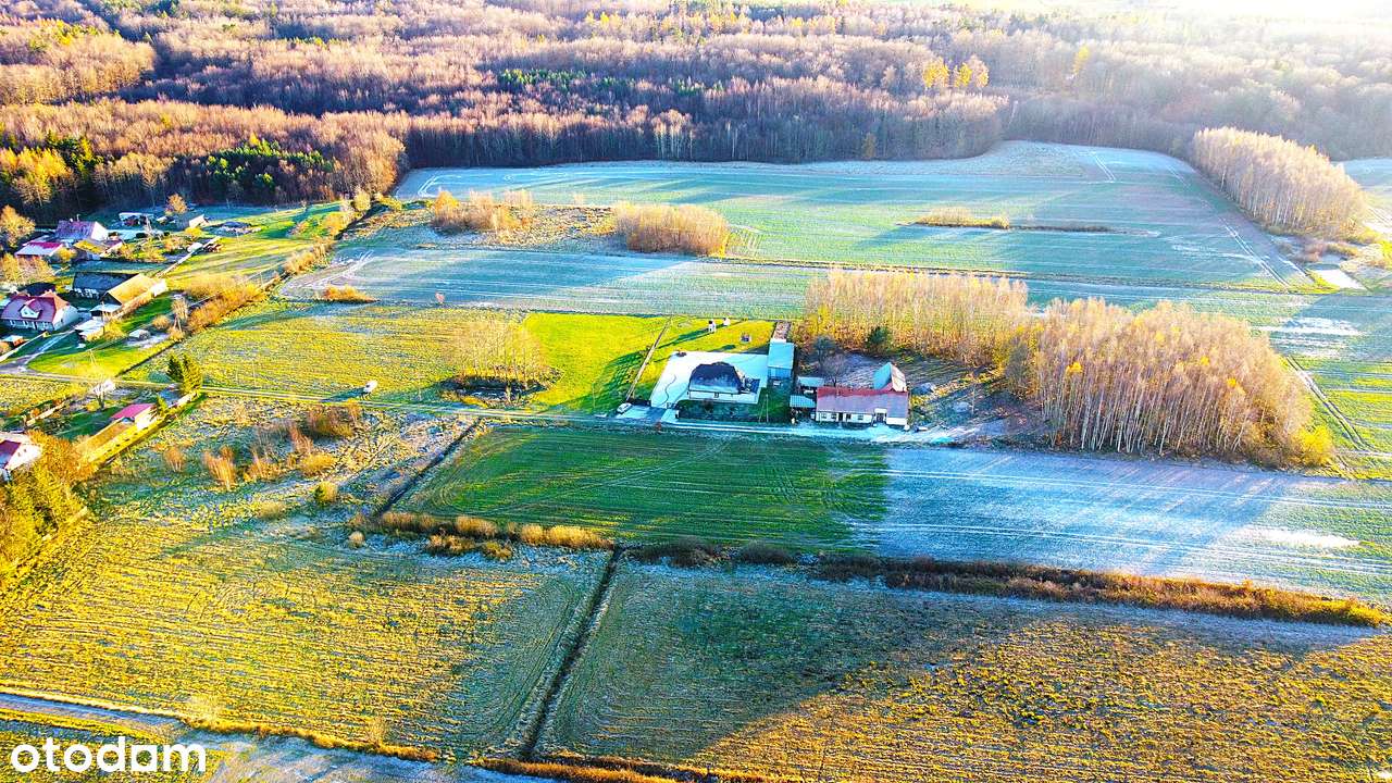 Jeżyce - 3 działki budowlane na sprzedaż-9