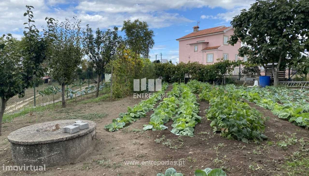 Terreno para construção com 1560 m2, São Martinho de Recezinhos, Pe - Grande imagem: 4/30