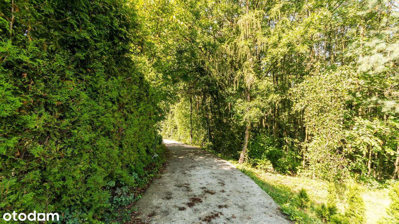 Uzbrojona działka budowlana przy lesie| 9 ar | centrum miasta 9 minut-5