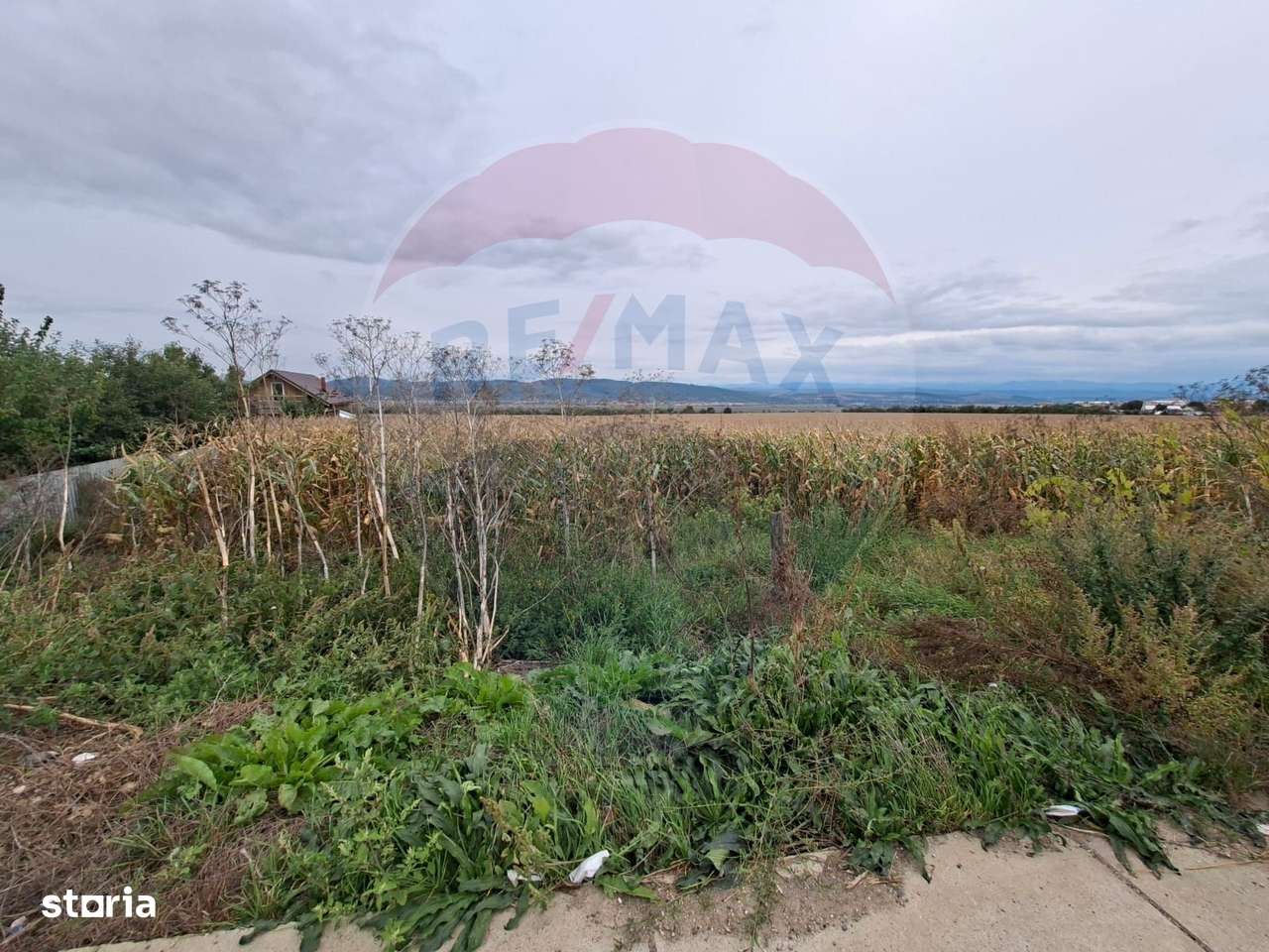 Teren  5.000 mp – strada Tineretului, orașul Buhuși - Imagine principală: 3/3