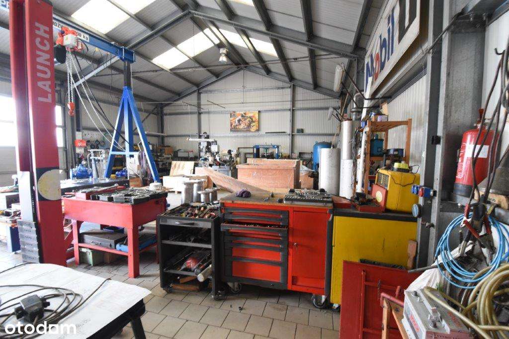 sprzedam halę na działce 25 ar w Nysie - Pełny obrazek: 5/19