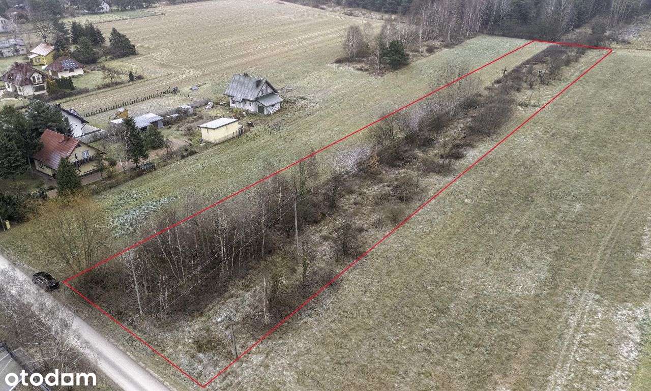 Brzóze, działka 6423m2 - Pełny obrazek: 4/8