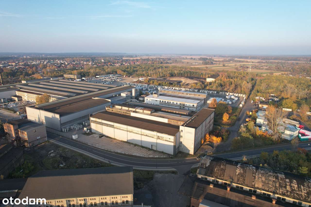 Hala produkcyjna, magazynowa Nowa Sól, Dozamet - Pełny obrazek: 4/12