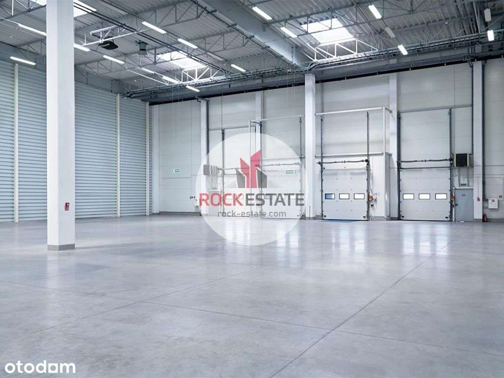 Magazyn do wynajęcia 1056 m2 z antresolą - 0% prow-2
