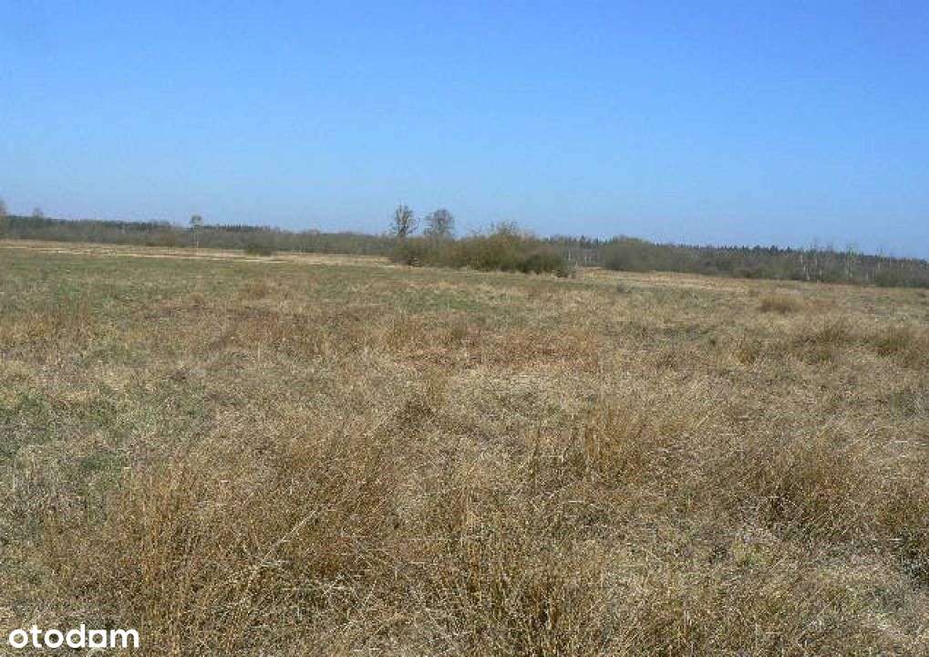 Darłowo - Pękanino . Siedliskowa 1612 m2. Morze . - Pełny obrazek: 4/8