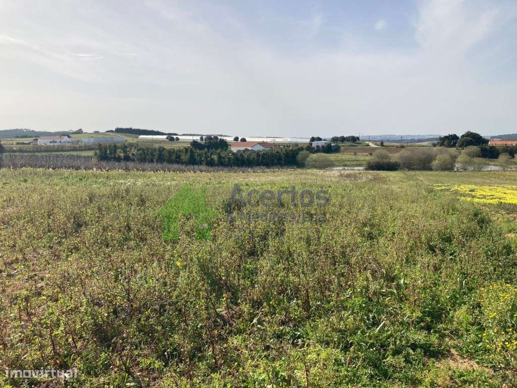 TERRENO - BARREIRA -BOMBARRAL - Grande imagem: 5/8