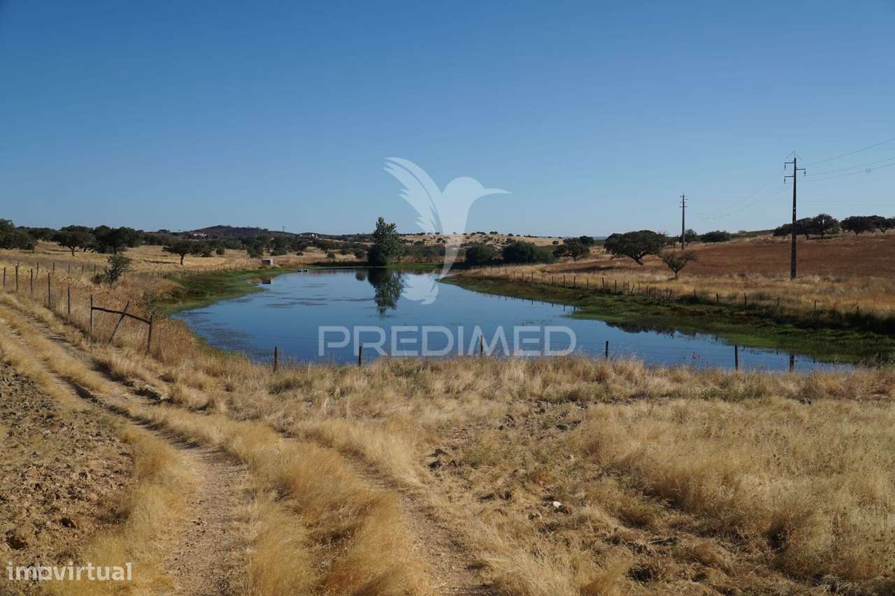 HERDADE NO ALENTEJO - Grande imagem: 2/39