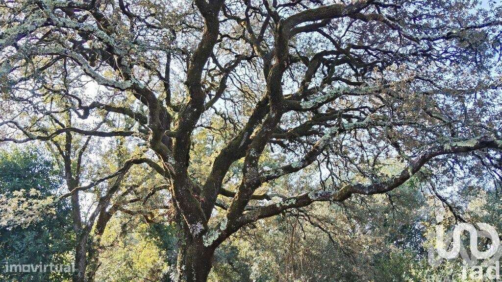 Casa / Villa em Pousaflores de 312 m2 - Grande imagem: 4/38