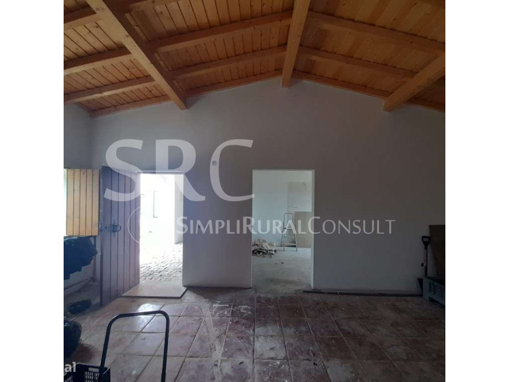 Herdade do olival das Barreiras-27