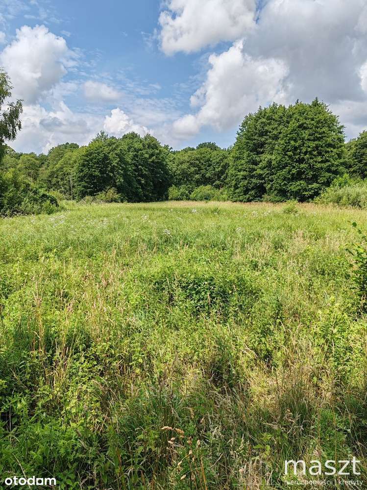 nowa cena - O K A Z J A - działka rolna - 1,9 ha-2