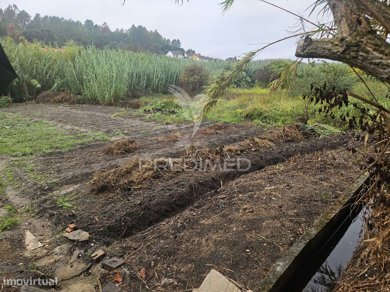 Oportunidade: Ruína com Terreno no Coração do Interior - Grande imagem: 5/9