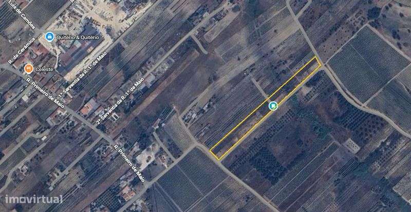 Terreno com Poço + Possibilidade de Anexo Agrícola – 4.900m² Alpiarça