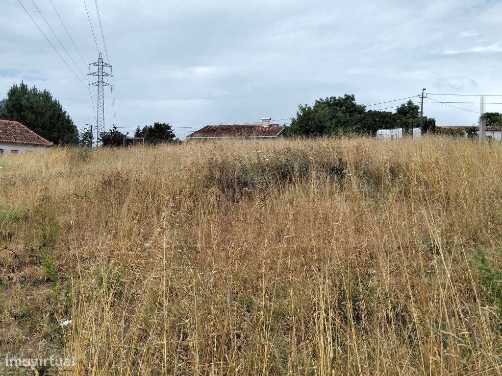 Terreno para construção de moradia - Fermelã / Estarreja-7