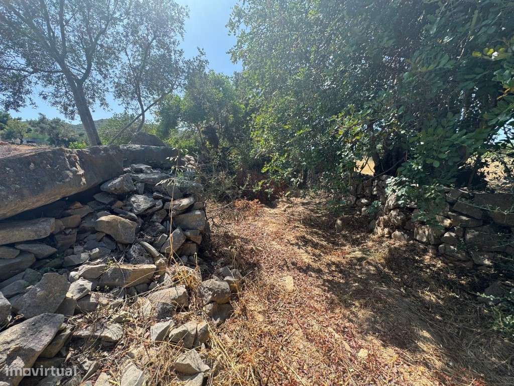 Terreno com 24.080 m², Ruínas e Moradia T2 em Madeira - Moncarapacho-4