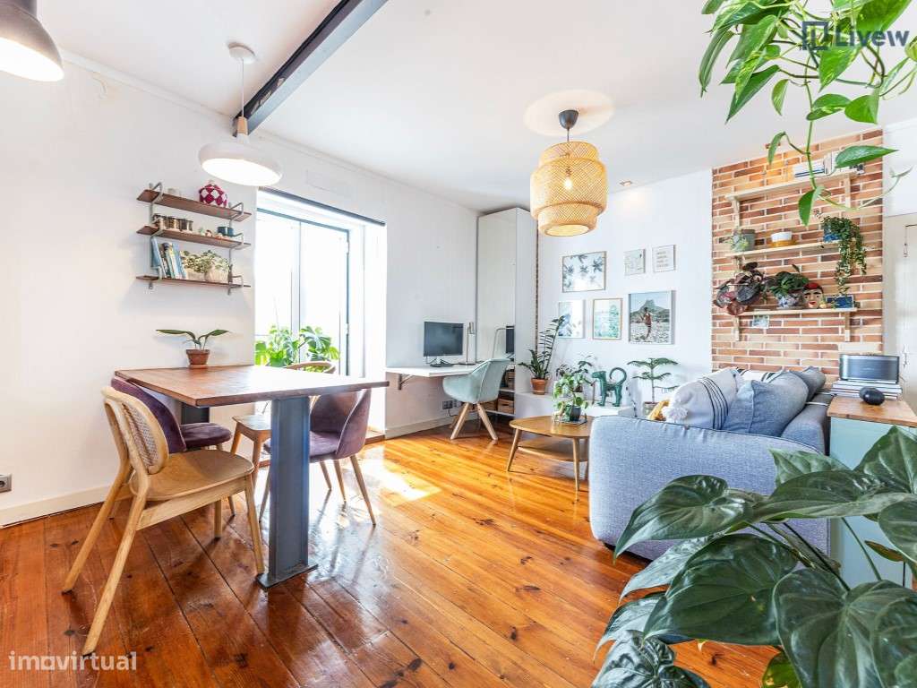 Apartamento T1 renovado e com ótima exposição solar-2