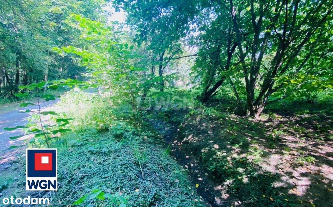 Klimatyczna działka przy lesie Kazimierz Górniczy-1