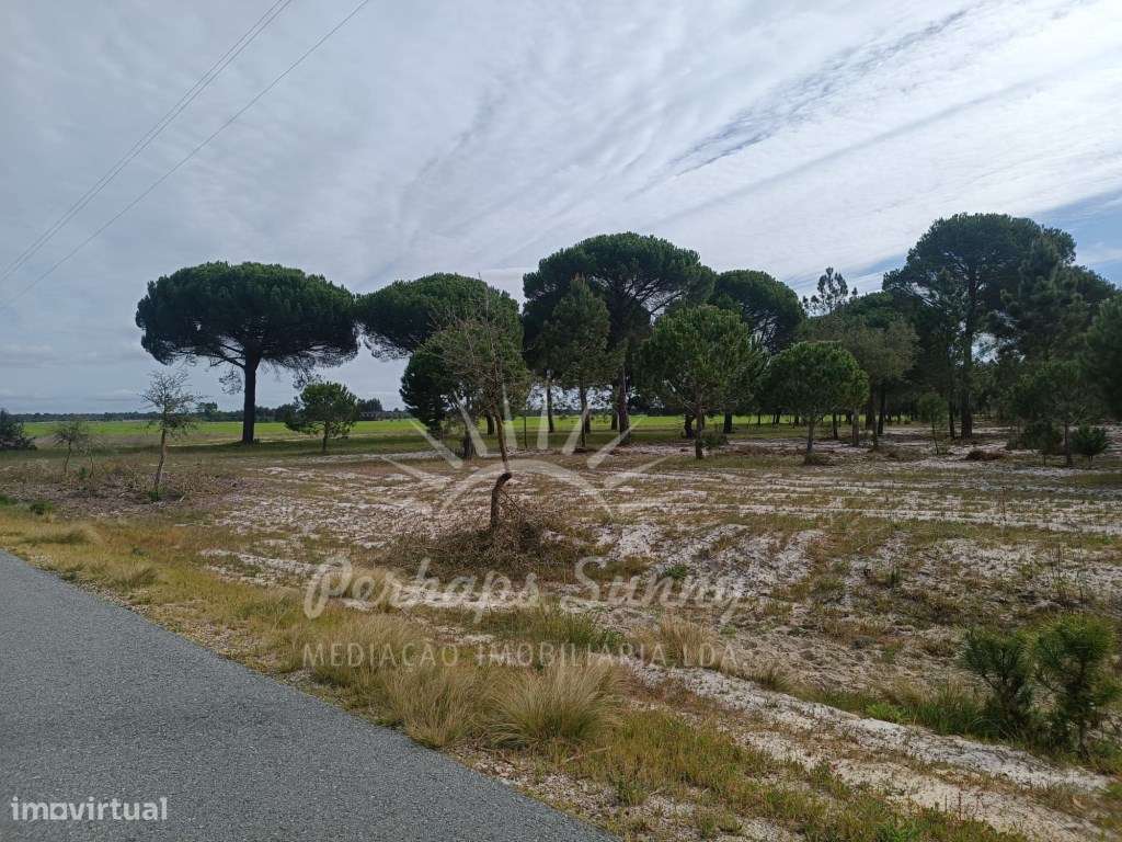 Herdade Bicas - Comporta-8