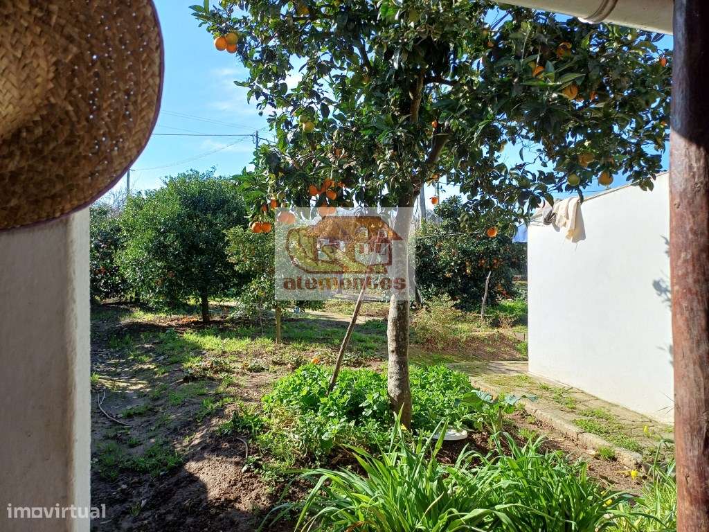 Monte tradicional alentejano para renovar - Melides-5