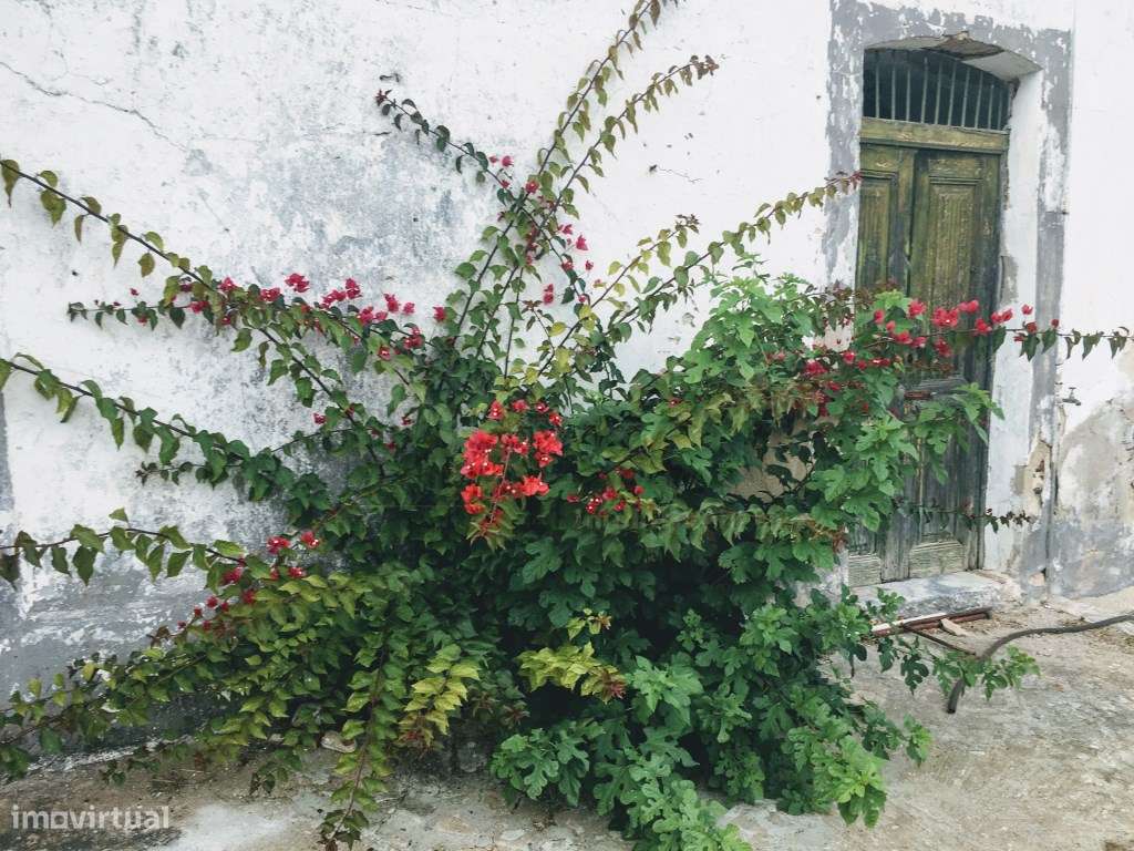 Casa Senhorial | Serpa-28