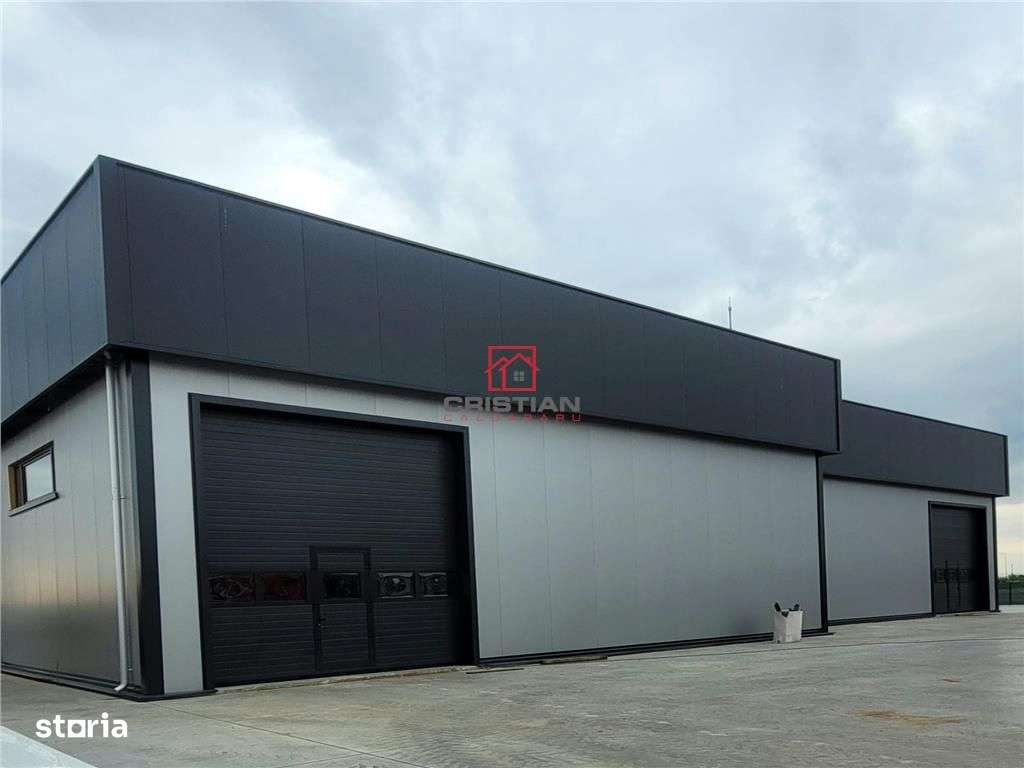 Vanzare depozithalaspatiu industrial Domnesti - Centura, Ilfov - Imagine principală: 3/20