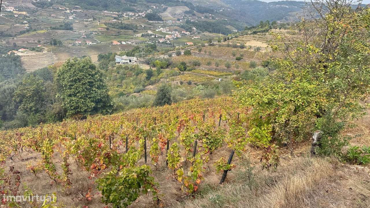 Quinta do Prado em Moura Morta, Régua-6