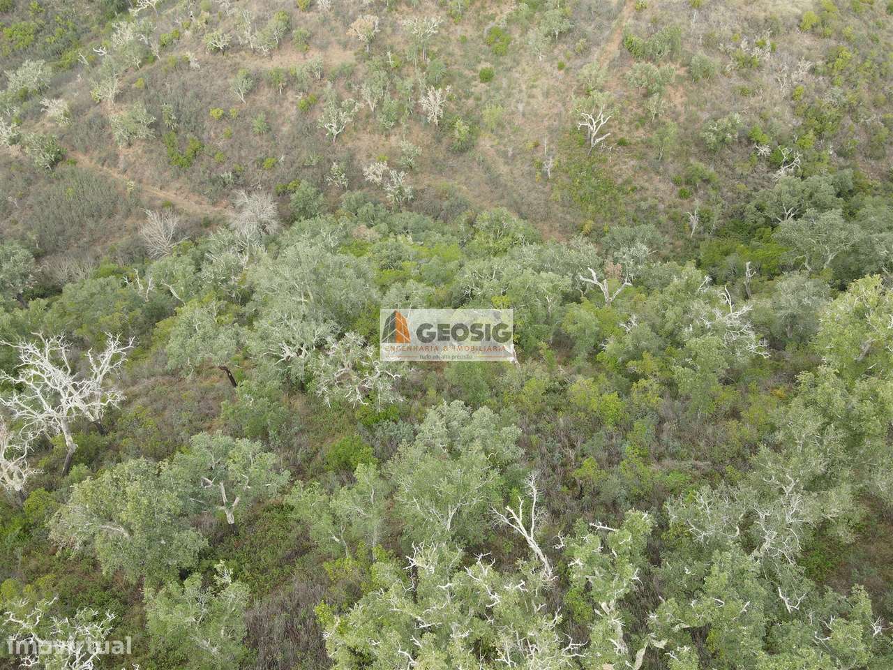 Terreno Rústico  Venda em São Barnabé,Almodôvar - Grande imagem: 4/19