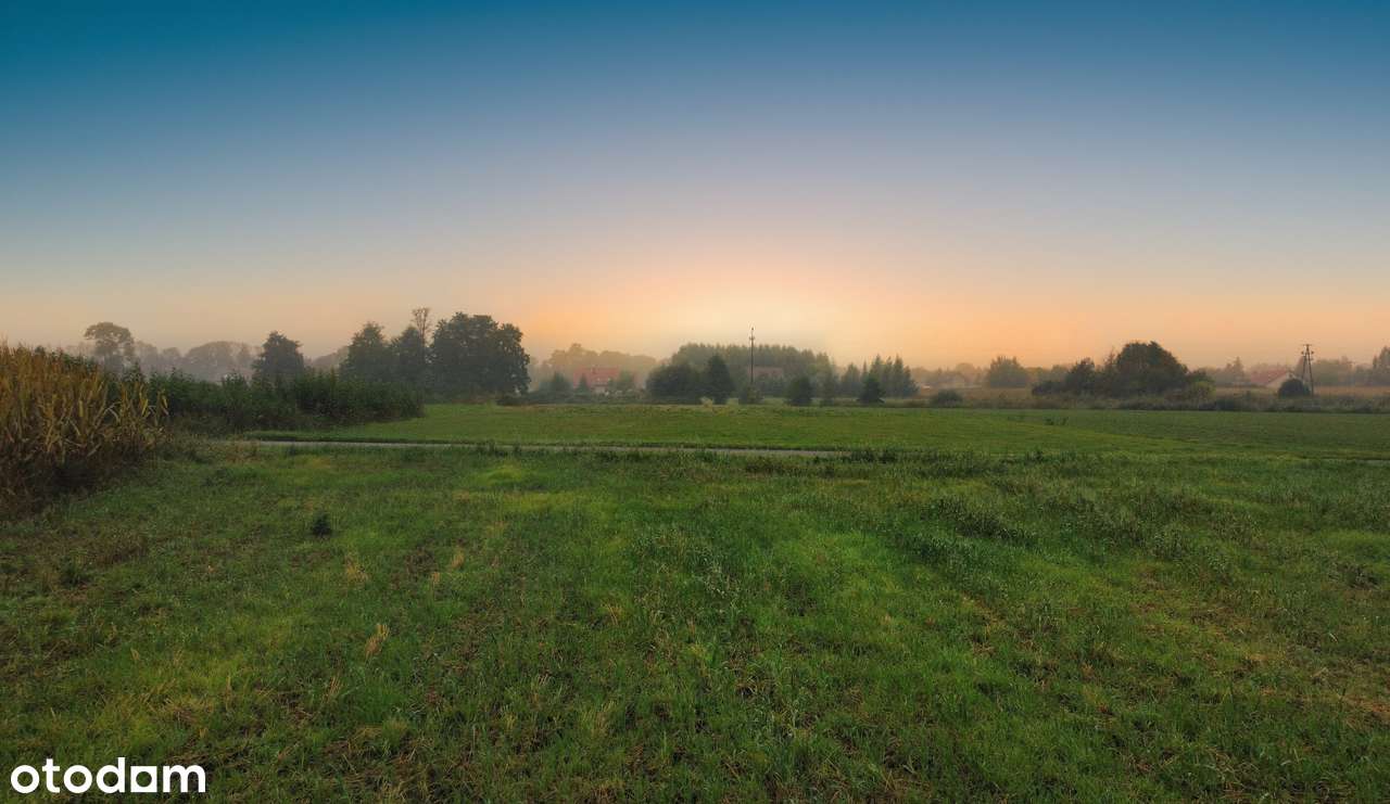 Działka, 1 000 m², Zawonia-2