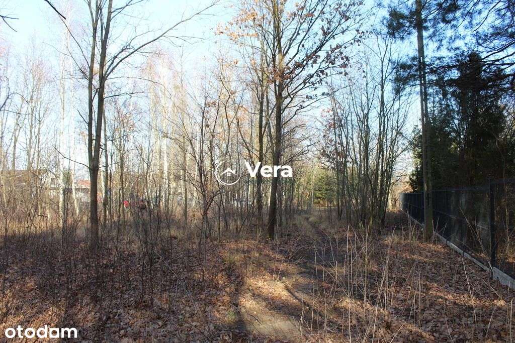 Działka, 1 666 m², Milanówek - Pełny obrazek: 5/6