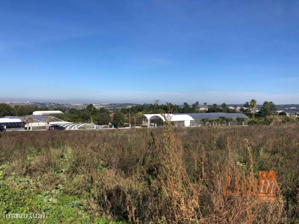 Terreno com 9050m2 em Pinhal de Frades na Ericeira - Grande imagem: 4/9