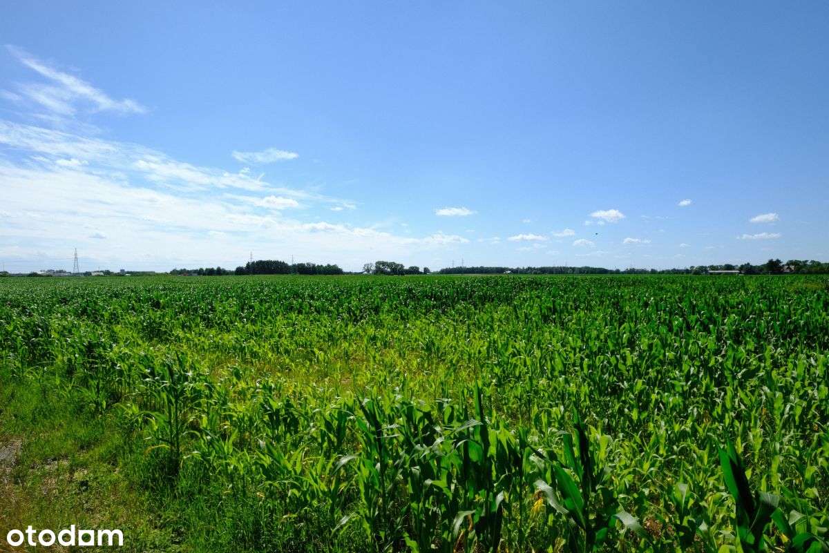 Teresin, Mpzp P/u,  od 2 do 35 ha-1