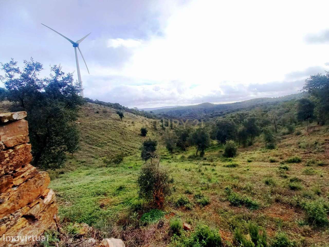 Investimento Rural: 20 Hectares com Rendimento - Grande imagem: 4/15