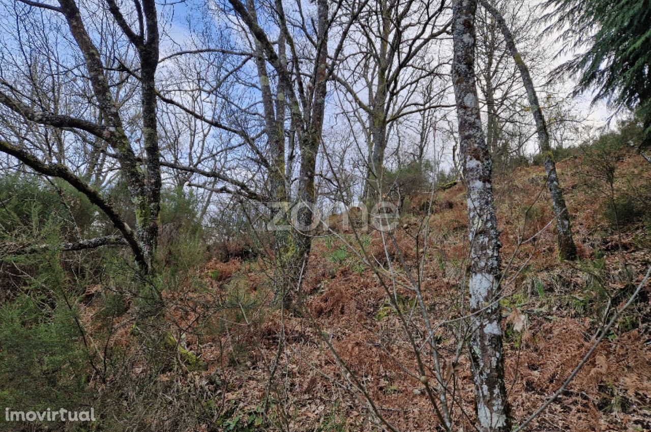 Terreno rústico para venda em Linharelhos, Montalegre