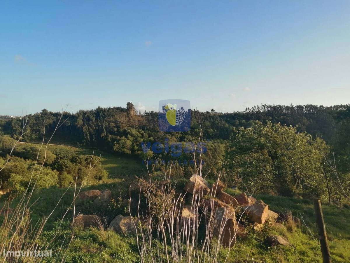 Terreno na Laranjeira de Alvorninha - Grande imagem: 3/6