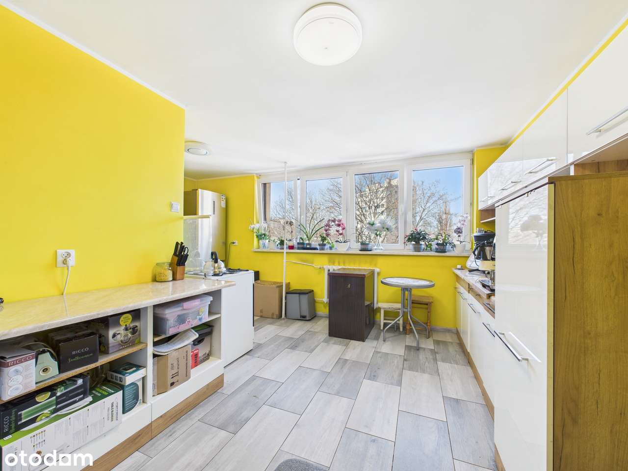 Mysłowice Centrum 2 pok. + balkon Wyspiańskiego Możliwe 2 Lub 3 Pokoje-0