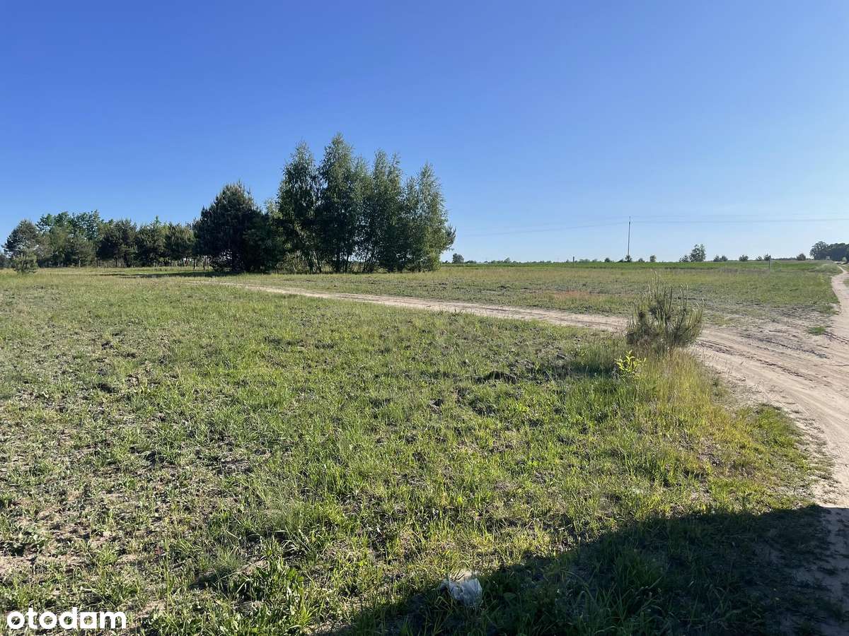 W okolicach Jońca –  Okazja! Pozwolenie + Prąd 900m od Wkry - Pełny obrazek: 5/20