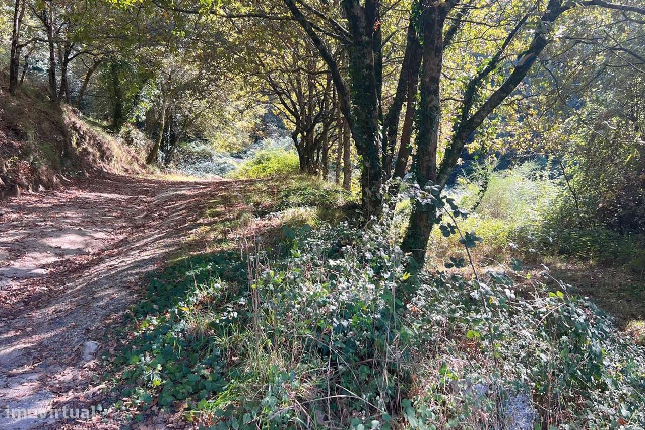 Terreno Agrícola 10.400 m² – Rebordosa, Paredes-9