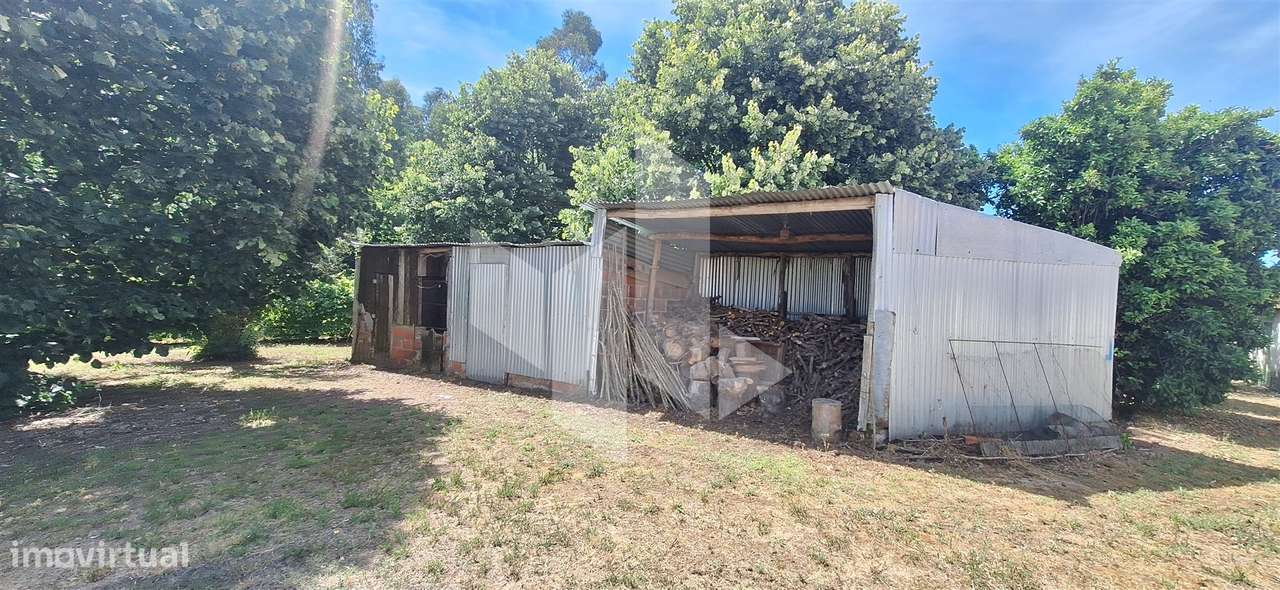 Quintinha  Venda em Lobão da Beira,Tondela-9