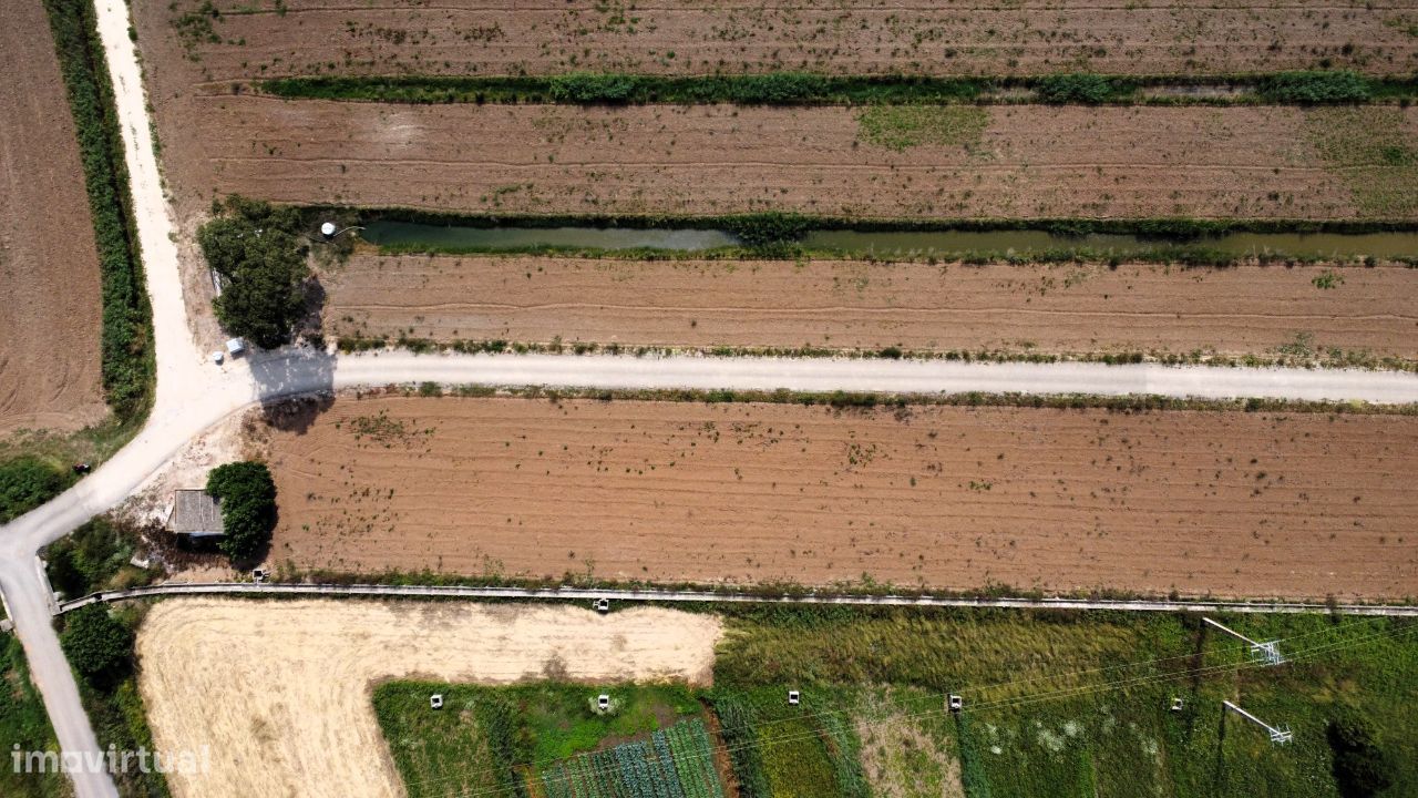 Terreno para agricultura com 16580 m2 - Quinta Nova, Famalicão, Nazaré