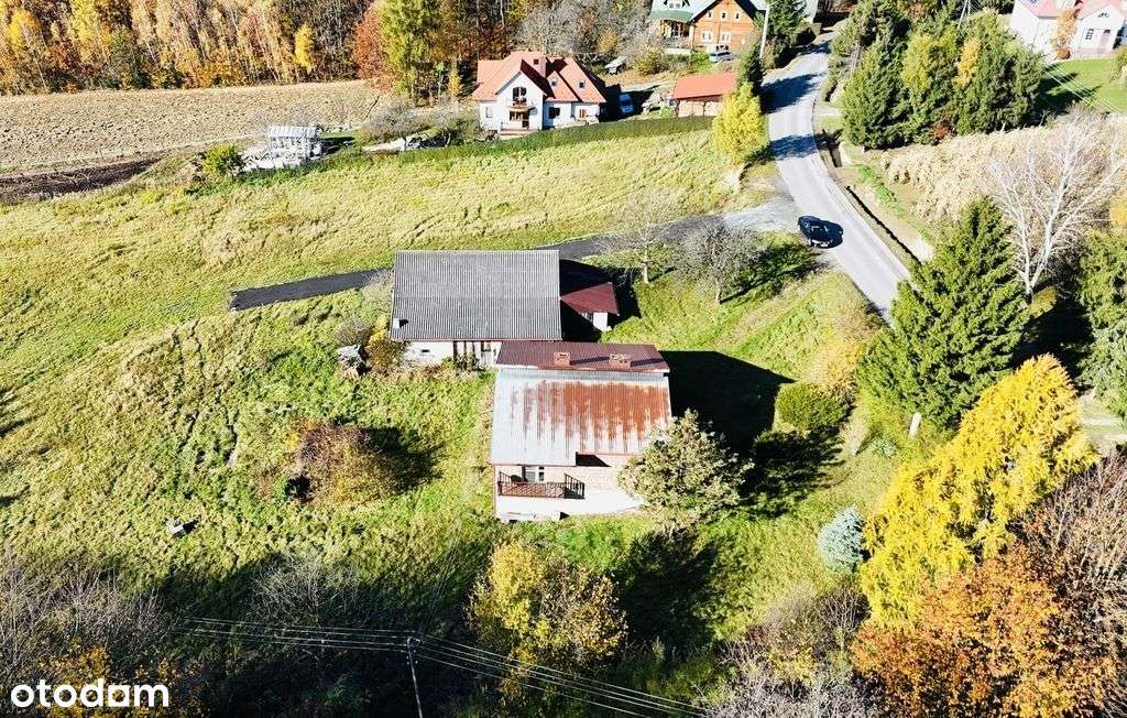 Dom Z Potencjałem Na Dużej Działce-5