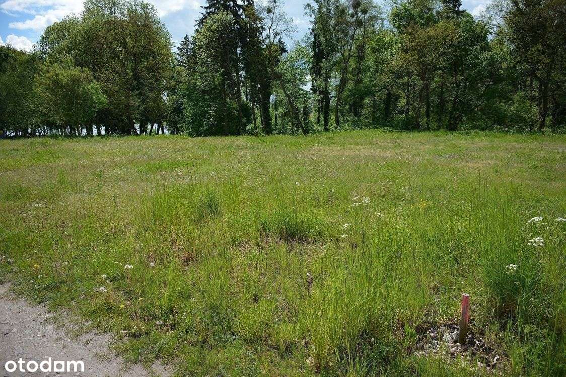 ok.Chrzypsko Wlk.764m2;809m2 lub 1203m2 - Pełny obrazek: 5/20