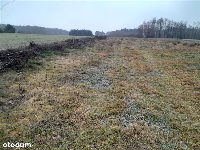 Działka do zabudowy letniskowej nad Narwią