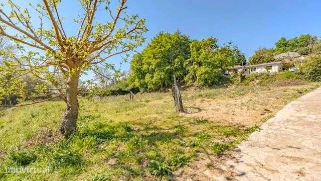 Quinta Exclusiva em Abação – Refúgio com 14.000 m²-19