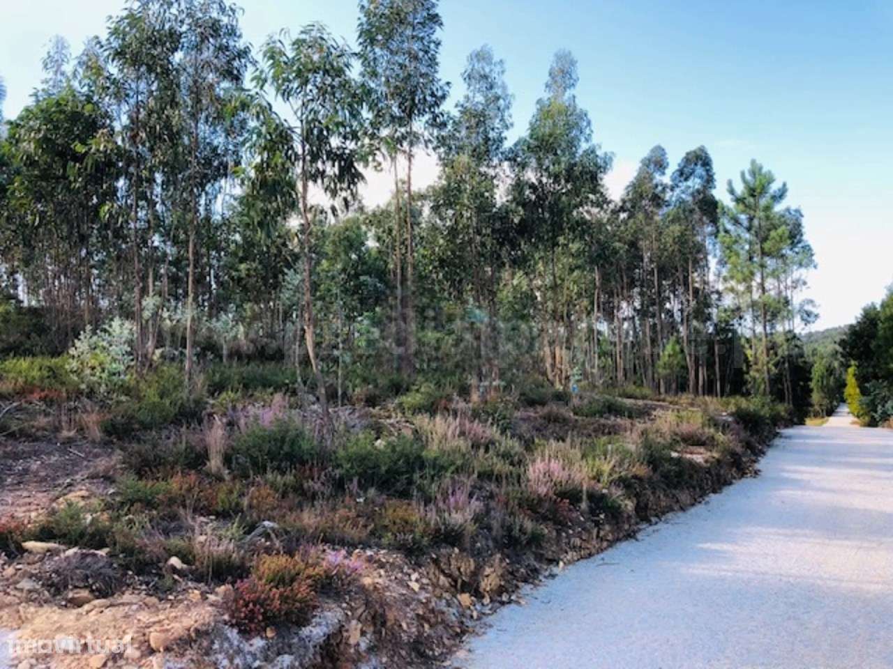 Terreno  Venda em Melres e Medas,Gondomar - Grande imagem: 5/18